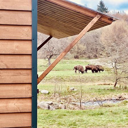 Tiny Home Dejani Eksteriør billede