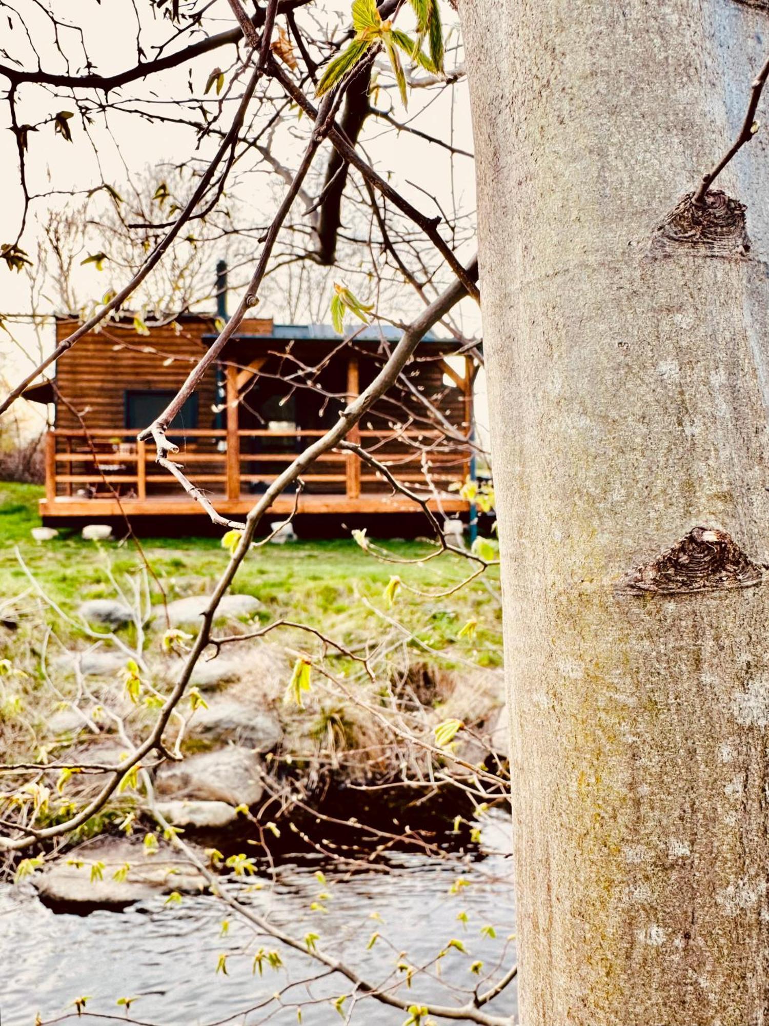 Tiny Home Dejani Eksteriør billede